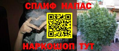 гидропоника Пыть-Ях