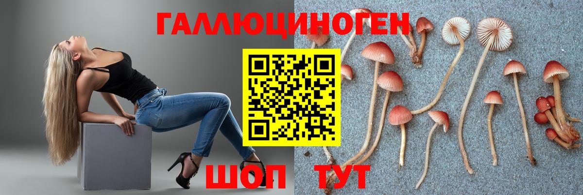 хочу наркоту  Вход с VPN  Янаул  Галлюциногенные грибы Cubensis 